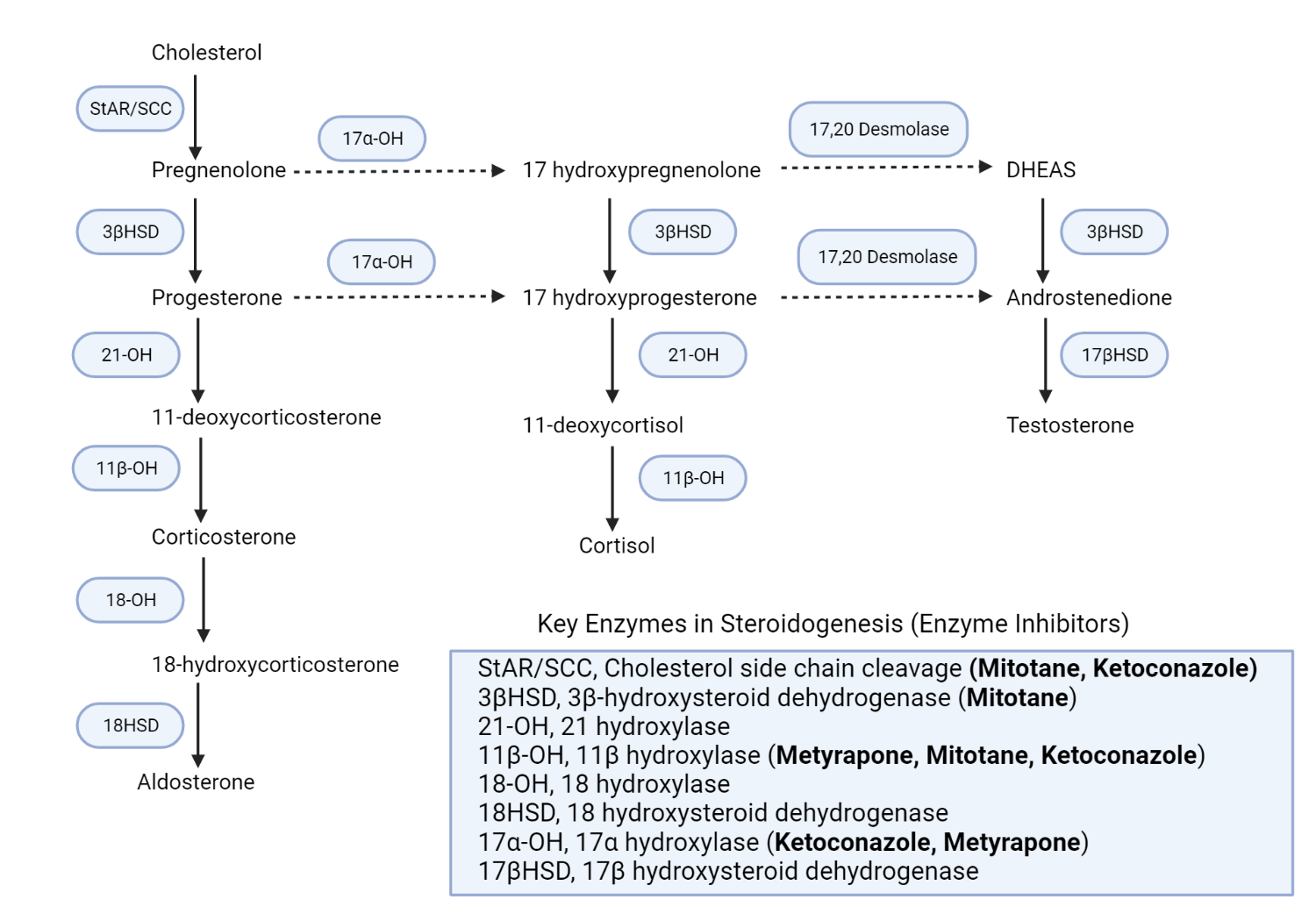 Schematic representation of the adrenal steroidogenesis pathways and the site of action of various enzyme inhibitors. 