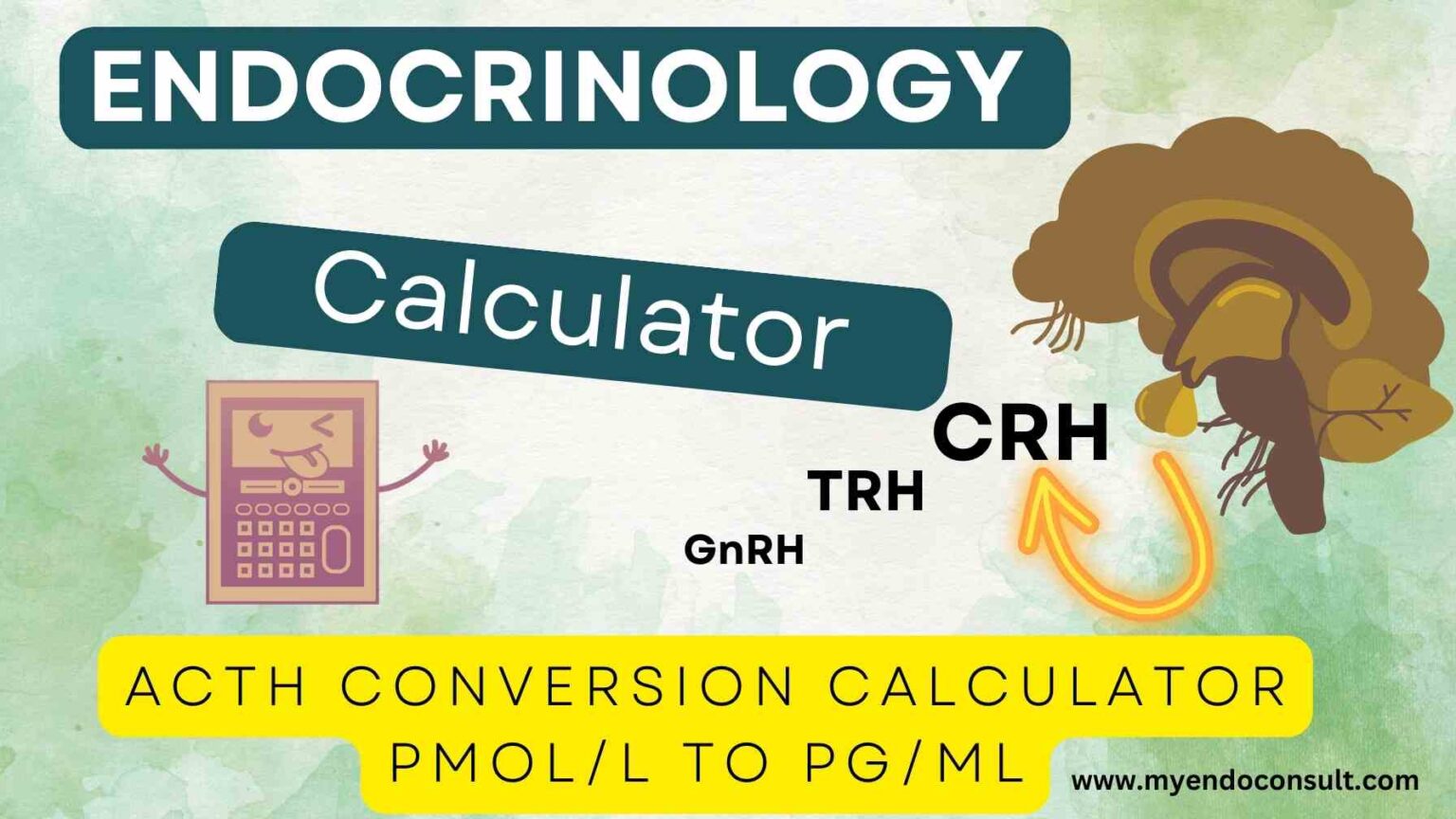 ACTH Conversion Calculator Pmol/L To Pg/mL My Endo Consult