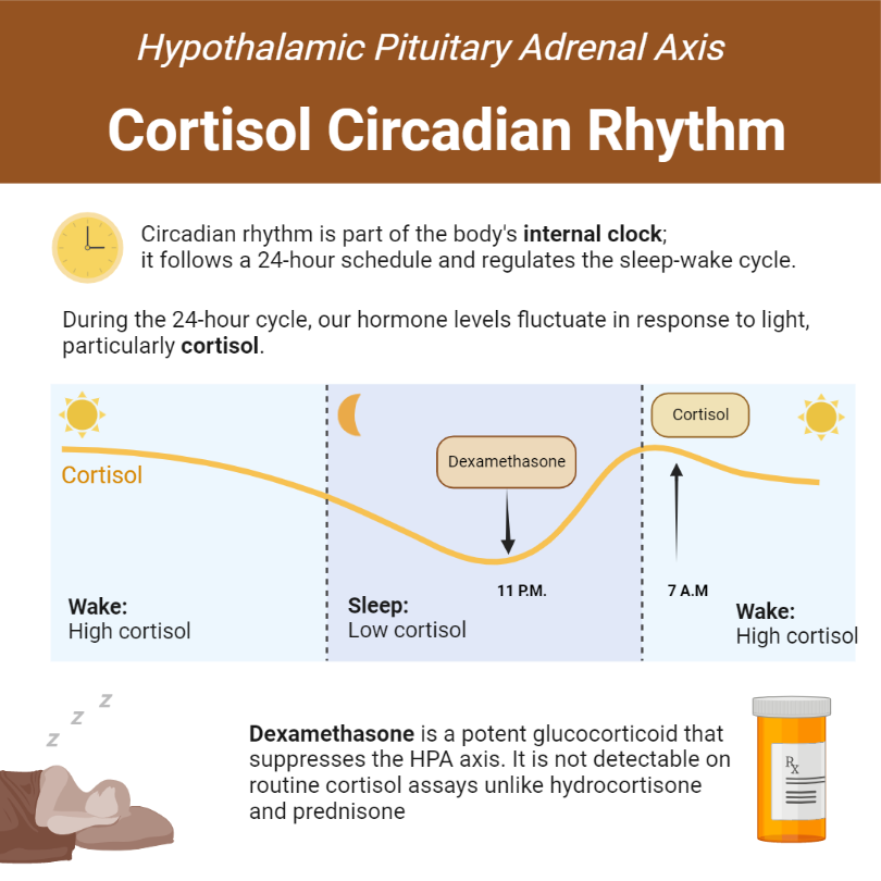 5 Best At-Home Cortisol Tests for 2024